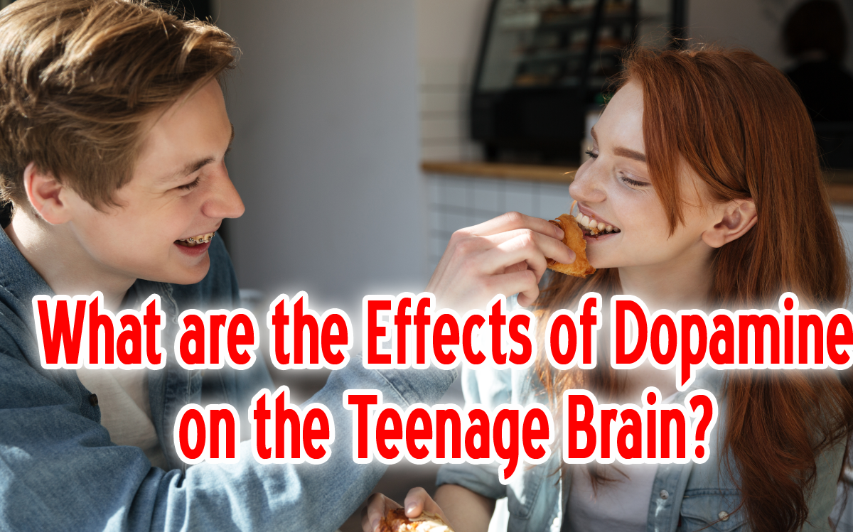 What are the effects of Dopamine on the teenage brain?