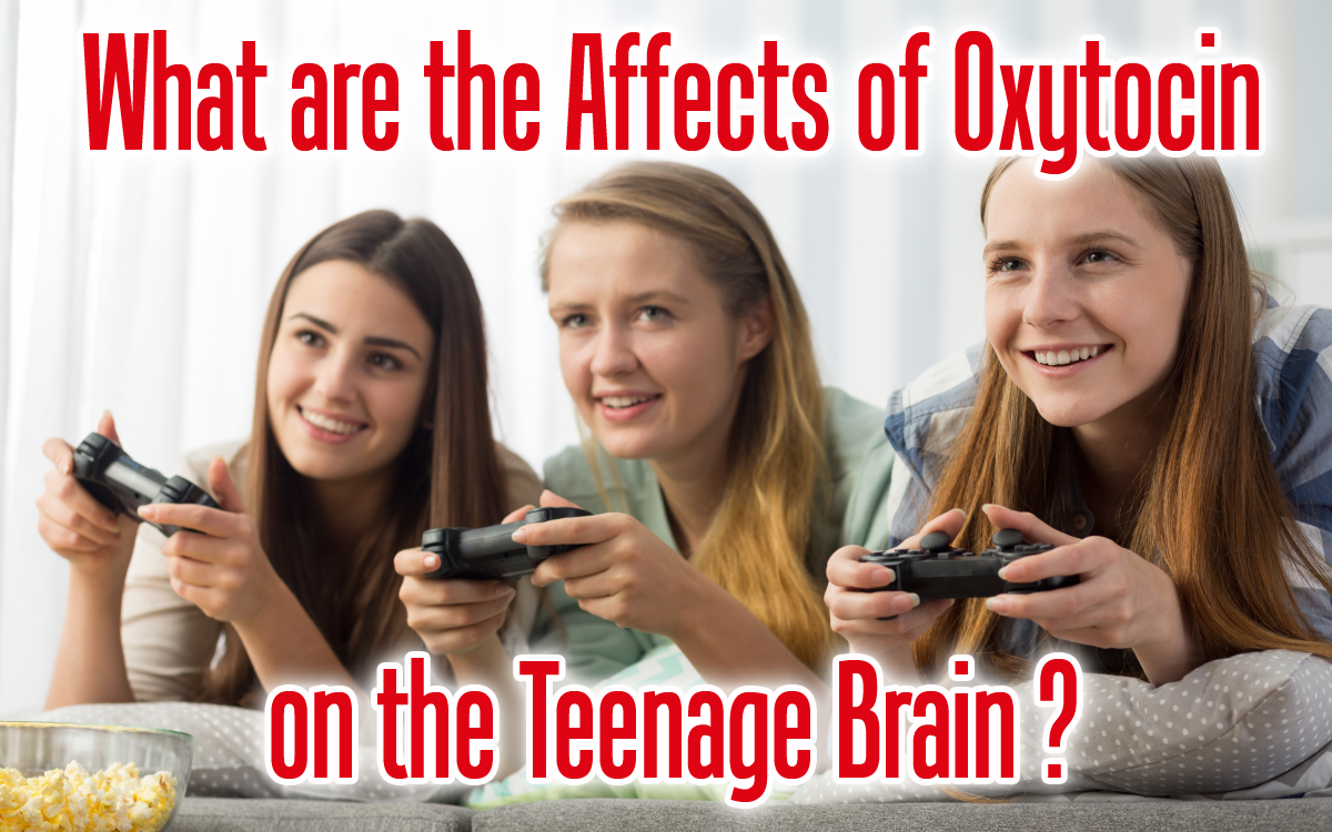 What are the effects of oxytocin on the teenage brain?